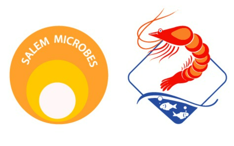SALEM MICROBES
